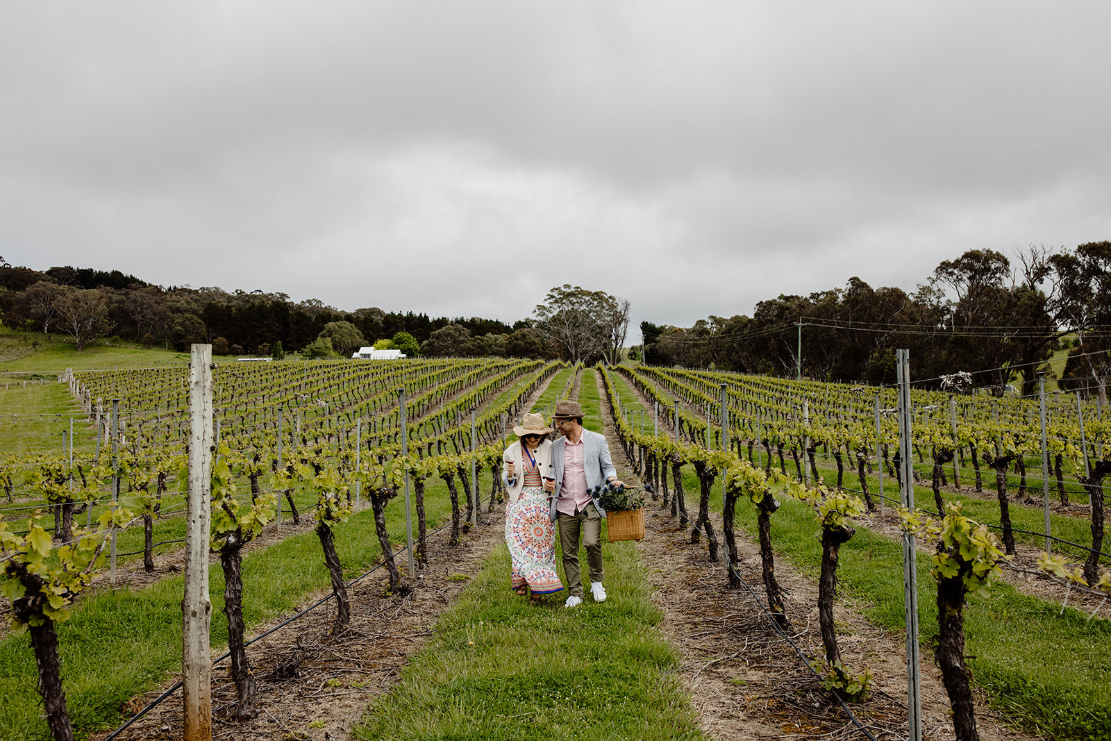 Vineyard Tasting Tour